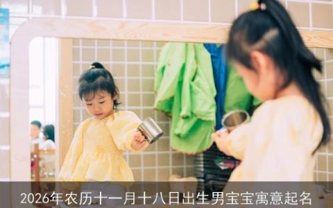 2026年农历十一月十八日出生男宝宝寓意起名