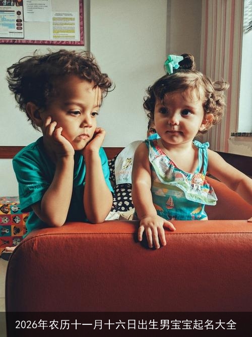 2026年农历十一月十六日出生男宝宝起名大全