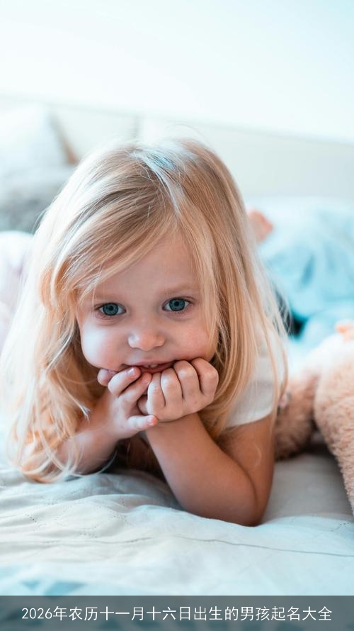 2026年农历十一月十六日出生的男孩起名大全