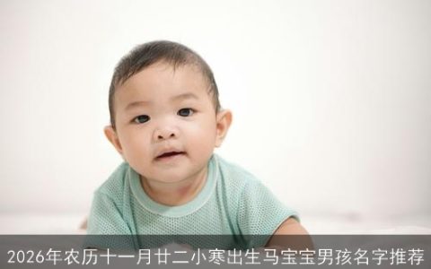 2026年农历十一月廿二小寒出生马宝宝男孩名字推荐