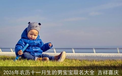 2026年农历十一月生的男宝宝取名大全 吉祥喜庆