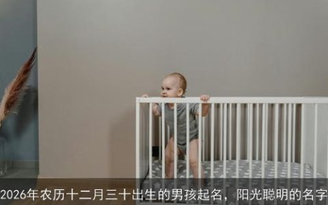2026年农历十二月三十出生的男孩起名，阳光聪明的名字