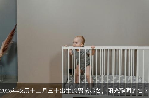 2026年农历十二月三十出生的男孩起名，阳光聪明的名字