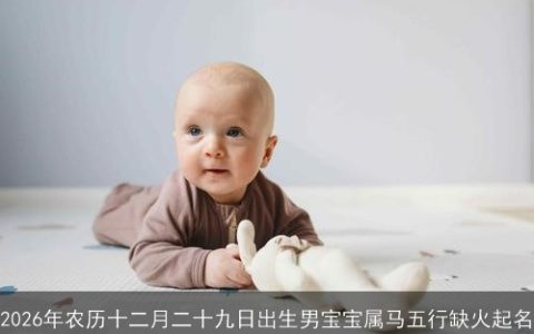 2026年农历十二月二十九日出生男宝宝属马五行缺火起名