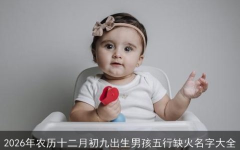 2026年农历十二月初九出生男孩五行缺火名字大全