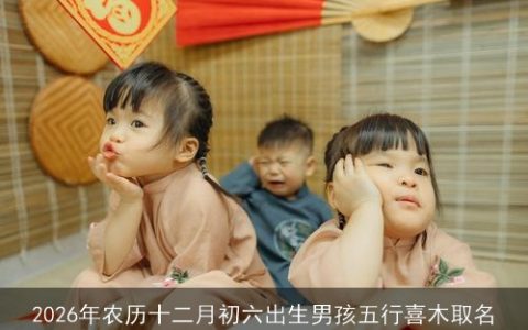 2026年农历十二月初六出生男孩五行喜木取名