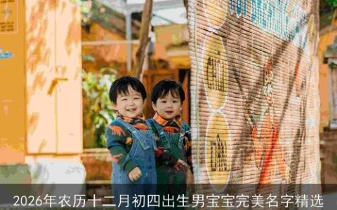 2026年农历十二月初四出生男宝宝完美名字精选