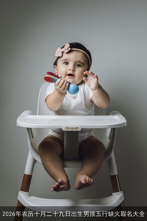2026年农历十月二十九日出生男孩五行缺火取名大全