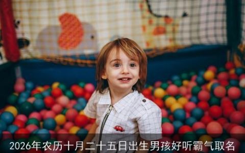 2026年农历十月二十五日出生男孩好听霸气取名