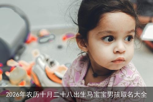 2026年农历十月二十八出生马宝宝男孩取名大全