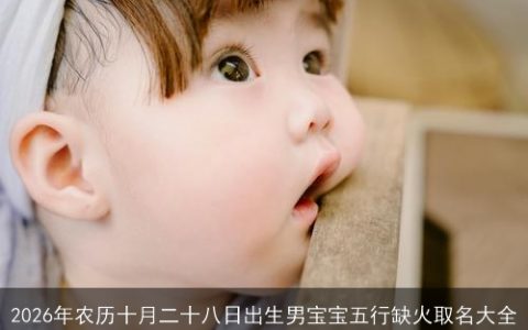 2026年农历十月二十八日出生男宝宝五行缺火取名大全