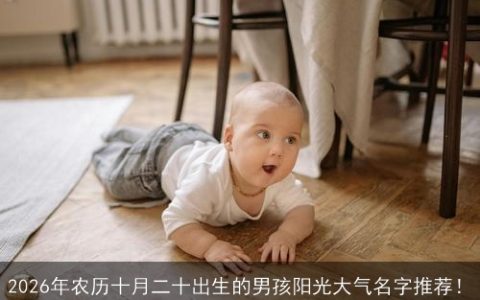2026年农历十月二十出生的男孩阳光大气名字推荐！