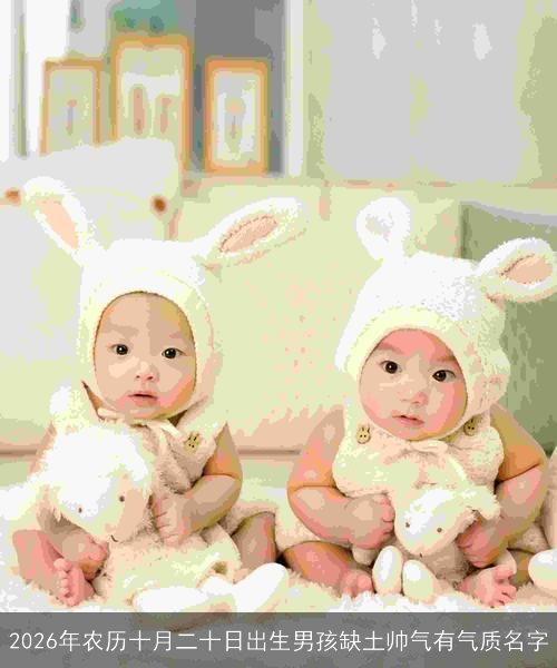 2026年农历十月二十日出生男孩缺土帅气有气质名字