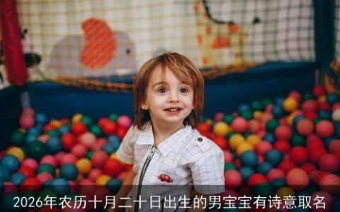 2026年农历十月二十日出生的男宝宝有诗意取名