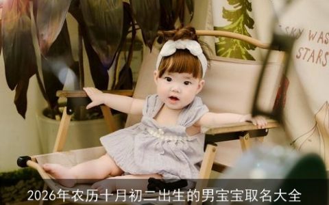 2026年农历十月初二出生的男宝宝取名大全