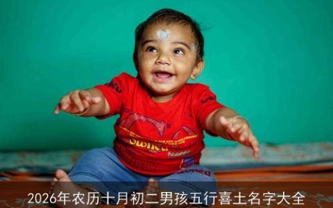 2026年农历十月初二男孩五行喜土名字大全