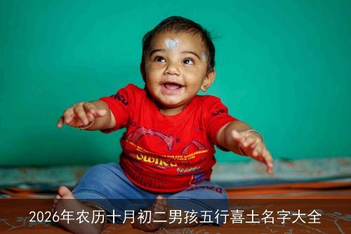 2026年农历十月初二男孩五行喜土名字大全