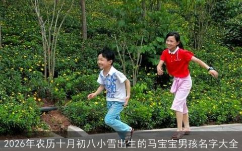 2026年农历十月初八小雪出生的马宝宝男孩名字大全