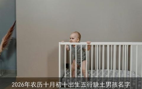 2026年农历十月初十出生五行缺土男孩名字