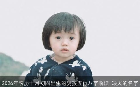 2026年农历十月初四出生的男孩五行八字解读 缺火的名字