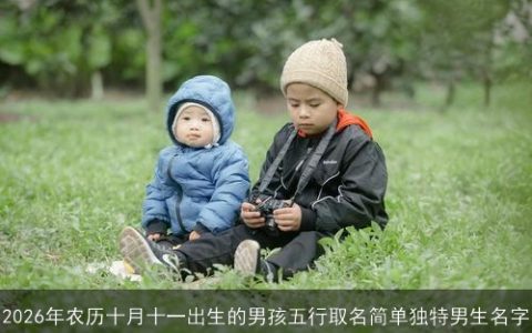 2026年农历十月十一出生的男孩五行取名简单独特男生名字