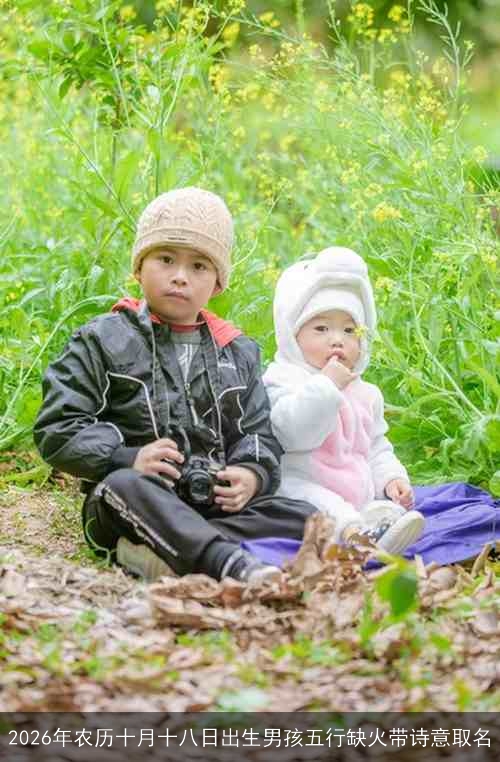 2026年农历十月十八日出生男孩五行缺火带诗意取名