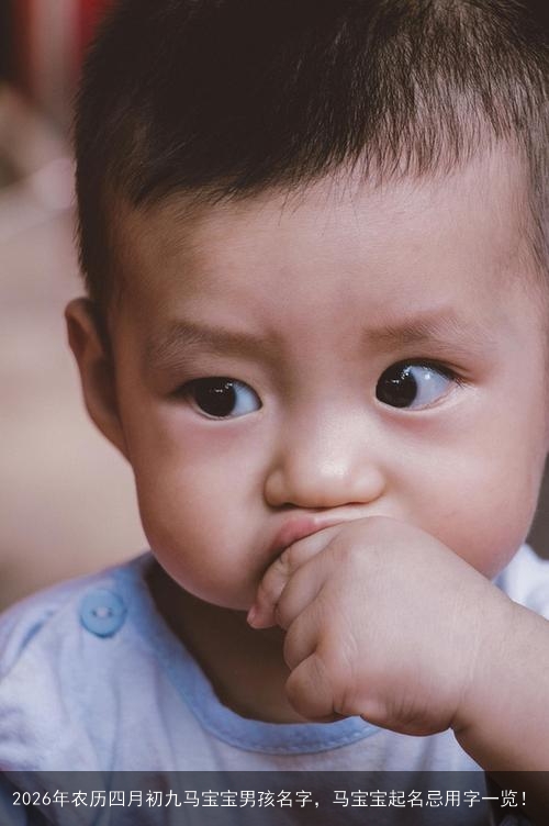 2026年农历四月初九马宝宝男孩名字，马宝宝起名忌用字一览！