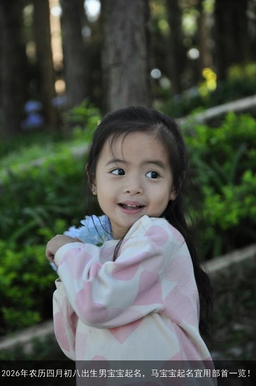 2026年农历四月初八出生男宝宝起名，马宝宝起名宜用部首一览！