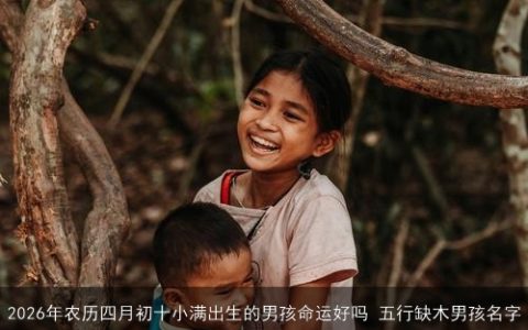2026年农历四月初十小满出生的男孩命运好吗 五行缺木男孩名字
