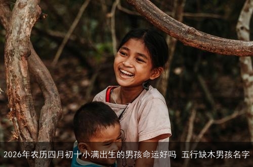 2026年农历四月初十小满出生的男孩命运好吗 五行缺木男孩名字