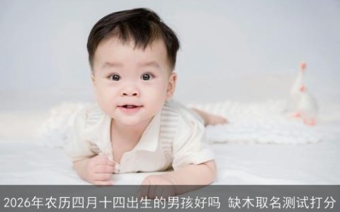 2026年农历四月十四出生的男孩好吗 缺木取名测试打分