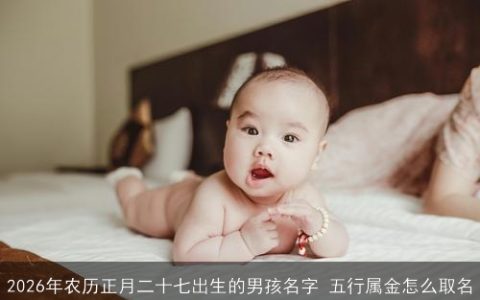 2026年农历正月二十七出生的男孩名字 五行属金怎么取名
