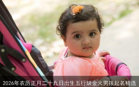 2026年农历正月二十九日出生五行缺金火男孩起名精选