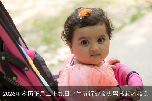 2026年农历正月二十九日出生五行缺金火男孩起名精选