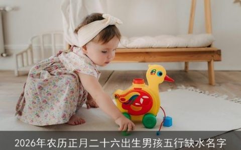 2026年农历正月二十六出生男孩五行缺水名字