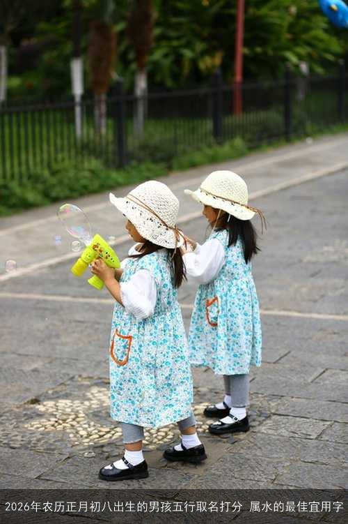 2026年农历正月初八出生的男孩五行取名打分 属水的最佳宜用字