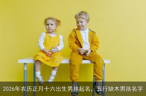 2026年农历正月十六出生男孩起名，五行缺木男孩名字