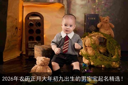 2026年农历正月大年初九出生的男宝宝起名精选！