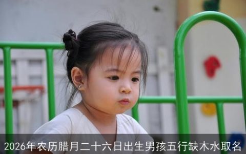 2026年农历腊月二十六日出生男孩五行缺木水取名