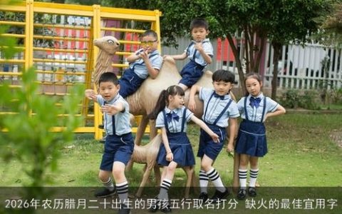2026年农历腊月二十出生的男孩五行取名打分 缺火的最佳宜用字
