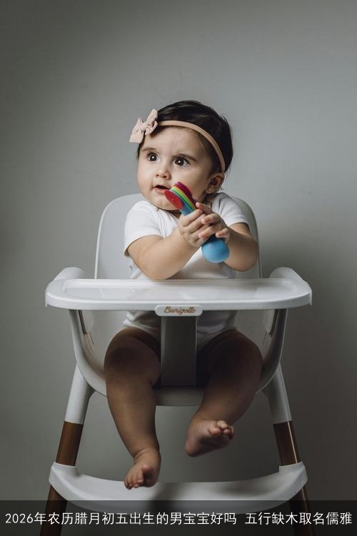2026年农历腊月初五出生的男宝宝好吗 五行缺木取名儒雅