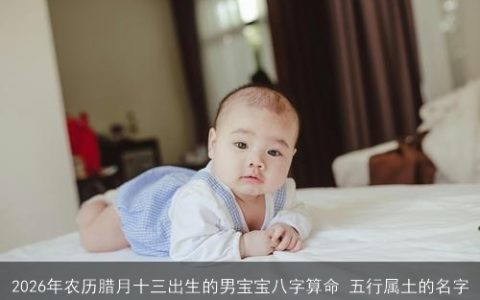 2026年农历腊月十三出生的男宝宝八字算命 五行属土的名字