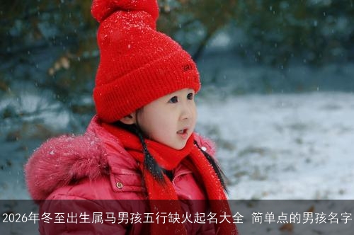 2026年冬至出生属马男孩五行缺火起名大全 简单点的男孩名字