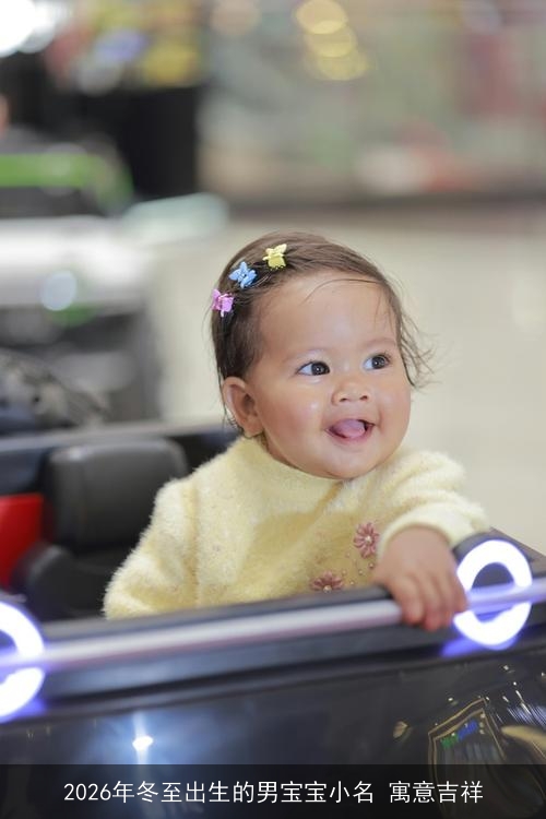 2026年冬至出生的男宝宝小名 寓意吉祥