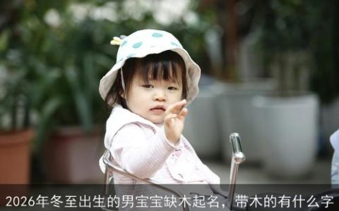 2026年冬至出生的男宝宝缺木起名，带木的有什么字