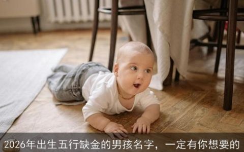 2026年出生五行缺金的男孩名字，一定有你想要的