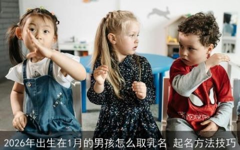 2026年出生在1月的男孩怎么取乳名 起名方法技巧