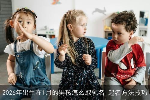 2026年出生在1月的男孩怎么取乳名 起名方法技巧