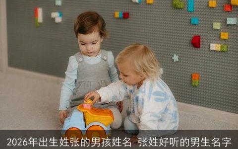 2026年出生姓张的男孩姓名 张姓好听的男生名字