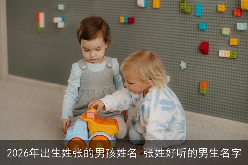 2026年出生姓张的男孩姓名 张姓好听的男生名字
